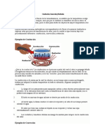 Formas de transferencia de calor: conducción, convección y radiación