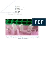 Lysis buffer composition