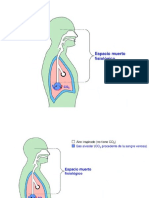 Espacio Muerto Fisiologico