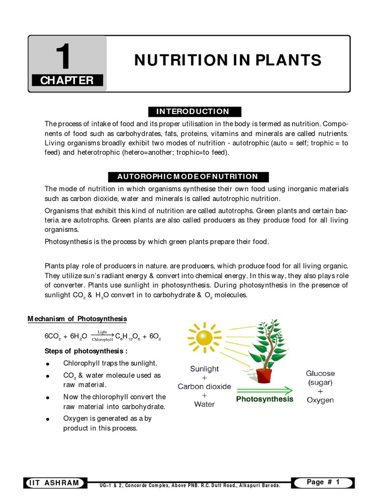 1 Nutrition in Plants .PMD | PDF | Plants | Photosynthesis