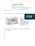 Assignment 1: Living Cells