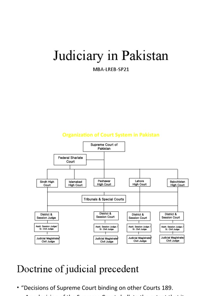 Overview of Pakistan's Judiciary System | PDF | Supreme Courts | Precedent
