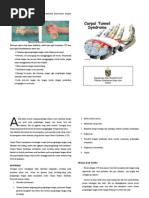 Download Carpal tunnel syndrome by Clara Pangaribuan SN51978914 doc pdf