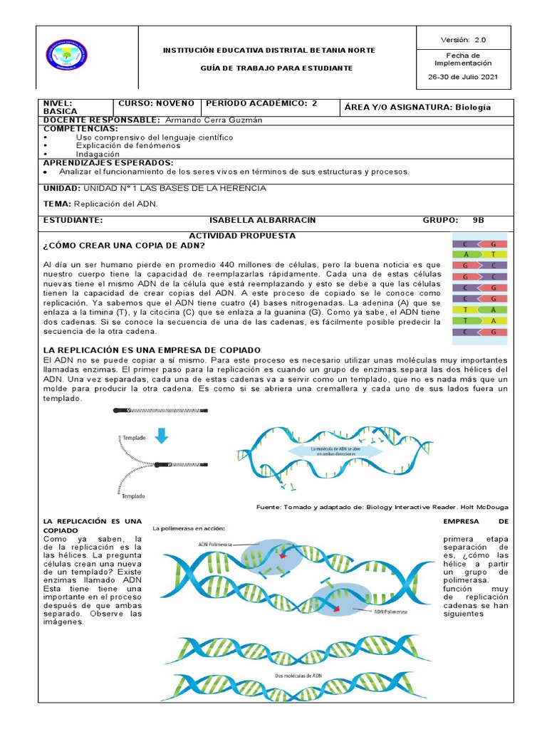 Replicación Adn | PDF | Replicación De Adn | Adn