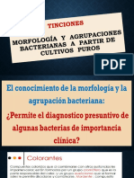 Laboratorio Tinciones e Importancia de La Morfología Bacteriana 2