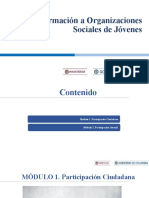 presentacion_organizaciones_sociales_de_jovenes_ley_1757-1622-1885 (3)
