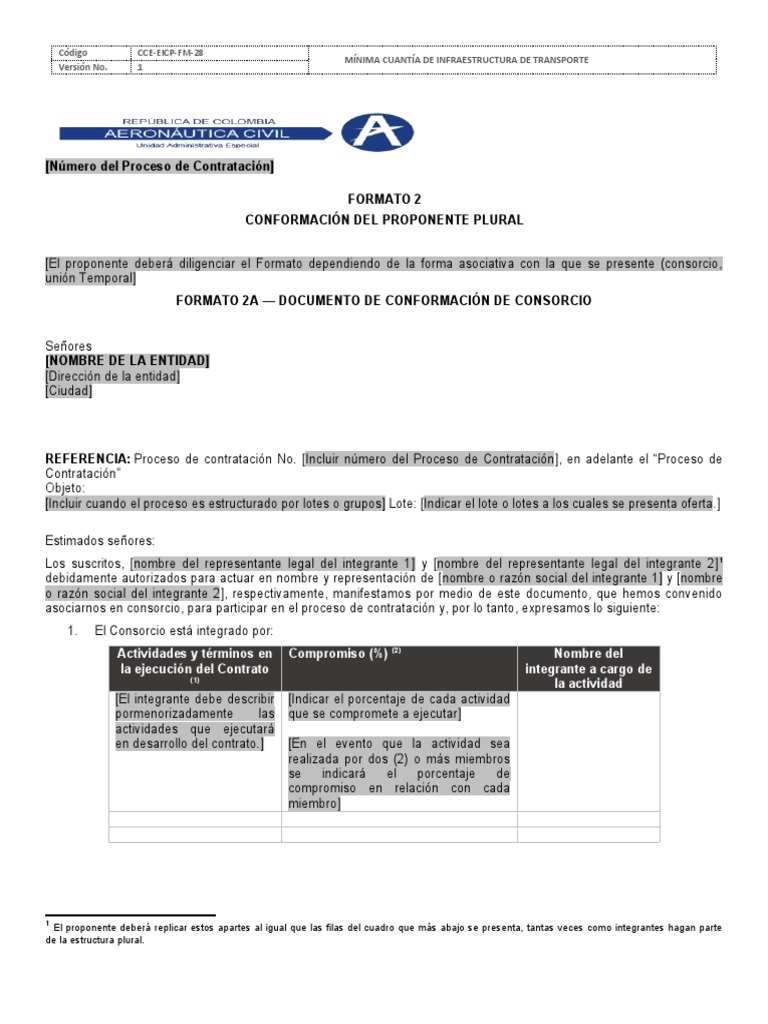 Formato 2 - Conformación de Proponente Plural | PDF | Negocios ...