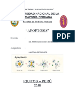 Aptosis-Anatomia Patologica