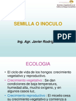 Semilla o Inoculo