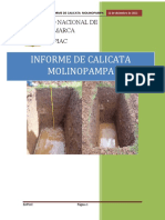 INFORME Final DE CALICATA MOLINOPAMPA Imorimir
