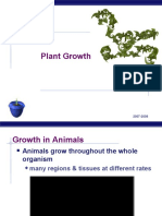 AP Bio PlantSecondaryGrowth& hormones(KFolgler)