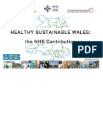 20070404_Healthy sustainable wales Toolkitl