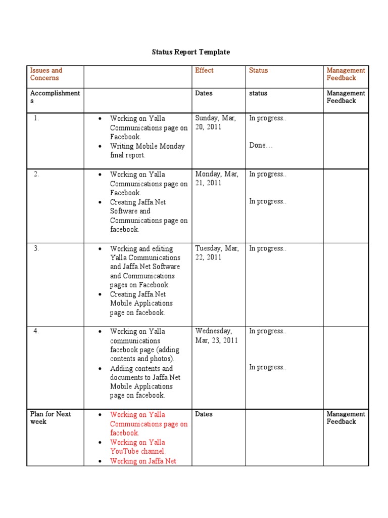 Status Report Template | PDF