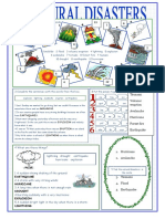 Natural Disasters Vocabulary