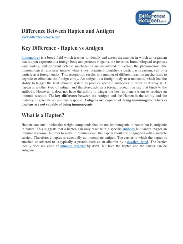 Difference Between Hapten and Antigen PDF Antigen Immune System