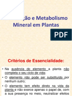 Aula 8 Metabolismo Mineral