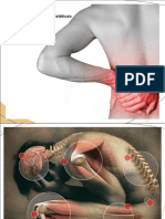 Patologias músculo esqueléticas2
