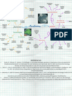 MAPA MENTAL Pseudomonas - MARTÍNEZ - Jocelin