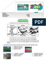 Atividade 2º Ano Aula 03 Ciências