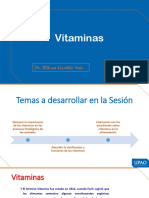 Importancia de las vitaminas en los procesos fisiológicos de los animales