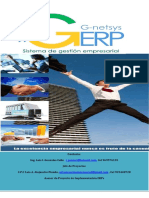 Erp G Netsys