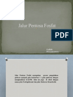 Jalur Pentosa Fosfat