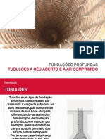 Tubuloes Seg Sem 2014