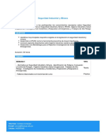 Temario PUN - Seguridad Industrial y Minera