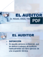 P06 El Auditor