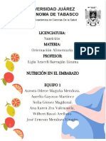 Proyecto Final Nutrición en El Embarazo