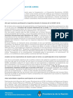 Documento Informativo OCDE