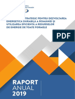 Raport-anual-2019 (1)
