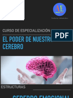 Estructura Cerebral PDF