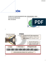 SN5 TeóricoOido 2019