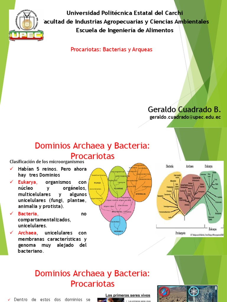 Unidad 2 Folio 4 | PDF | Las bacterias | Archaea
