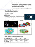 Identifikasi Sel dan Organel