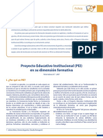 PEI en Su Dimension Formativa