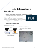 IDENTIFICACIÓN DE CÉLULAS PROCARIOTAS Y EUCARIOTAS