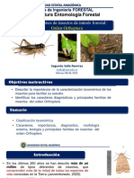 C10. Órdenes de Insectos de Interés Forestal - Orden Orthoptera