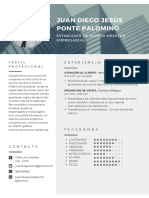 CV Juan Diego Ponte