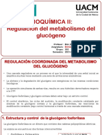 Regulación Del Metabolismo Del Glucógeno