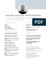 CV Mauro Nelson Montenegro