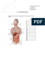 Chapter XV The Digestive System Arabis Bestudio Debalos Lasala Lumakang Te Timcang