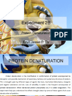 Experiment 2B: Protein Denaturation Erlyn Jessie D. Dy