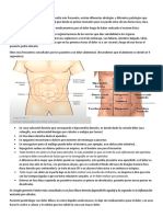 Resumen A Termino Medio Abdomen