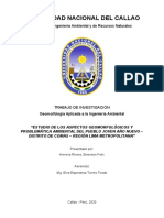 Trabajo de Investigación (PPJJ Año Nuevo-Comas) - Emerson Herrera