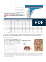 Clase 14. Renal