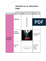 Equipos y Utensilios en El Laboratorio de Microbiología