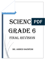 Final Revision - Grade 6 - 2020