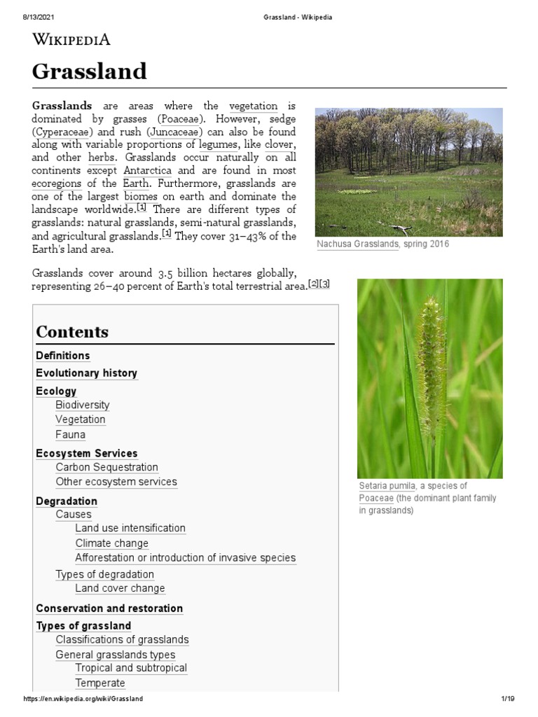 Grassland Wikipedia PDF Grassland Ecology